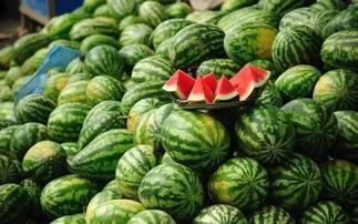 荷兰网红吃瓜事件真相揭秘,揭秘背后的真相与争议